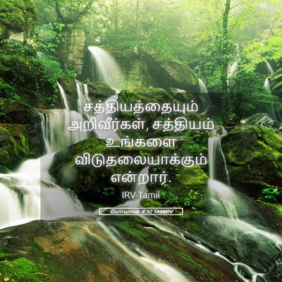 Picture 05 - யோவான் 8:32 TAMIRV - சத்தியத்தையும் - Bible Verse Picture