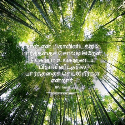 Picture 05 - யோவான் 8:38 TAMIRV - நான் என் - Bible Verse Picture