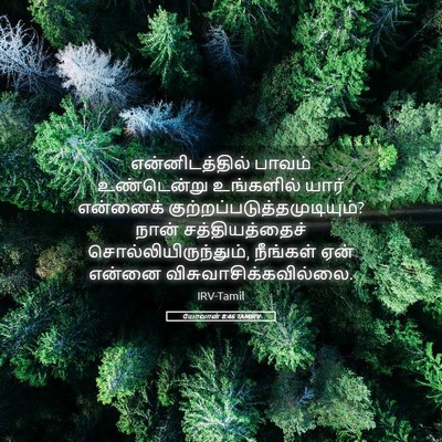 Picture 05 - யோவான் 8:46 TAMIRV - என்னிடத்தில் - Bible Verse Picture
