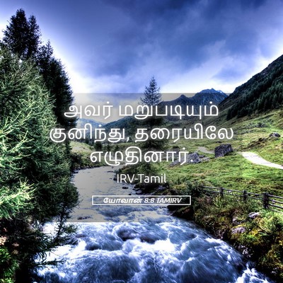 Picture 05 - யோவான் 8:8 TAMIRV - அவர் மறுபடியும் - Bible Verse Picture