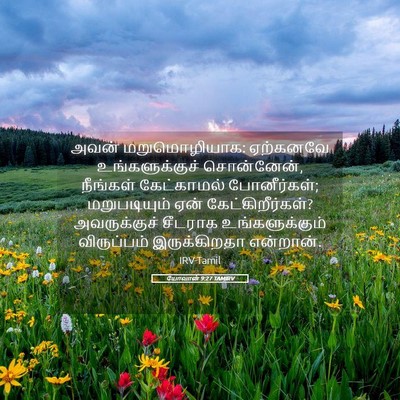 Picture 05 - யோவான் 9:27 TAMIRV - அவன் மறுமொழியாக: - Bible Verse Picture