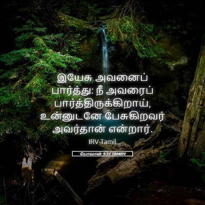 Picture 05 - யோவான் 9:37 TAMIRV - இயேசு அவனைப் - Bible Verse Picture