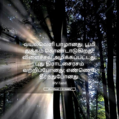 Picture 05 - யோவேல் 1:10 TAMIRV - வயல்வெளி பாழானது, - Bible Verse Picture