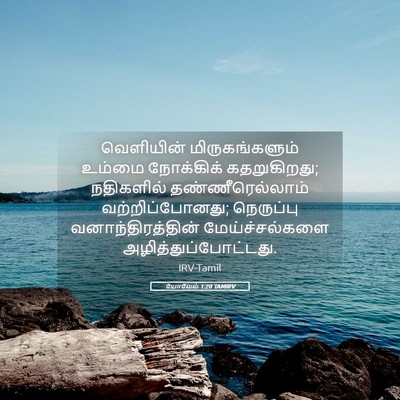 Picture 05 - யோவேல் 1:20 TAMIRV - வெளியின் - Bible Verse Picture