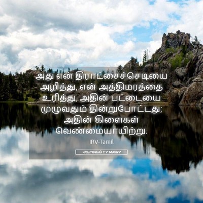 Picture 05 - யோவேல் 1:7 TAMIRV - அது என் - Bible Verse Picture
