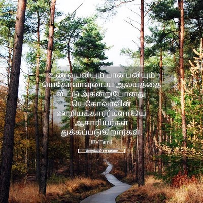 Picture 05 - யோவேல் 1:9 TAMIRV - உணவுபலியும் - Bible Verse Picture