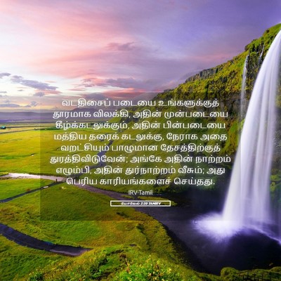 Picture 05 - யோவேல் 2:20 TAMIRV - வடதிசைப் படையை - Bible Verse Picture
