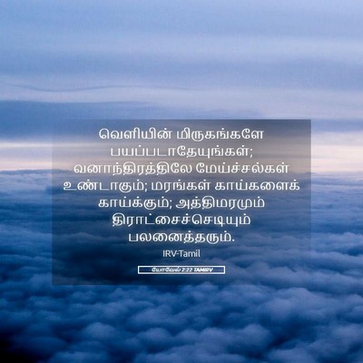 Picture 05 - யோவேல் 2:22 TAMIRV - வெளியின் - Bible Verse Picture