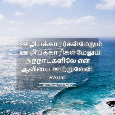Picture 05 - யோவேல் 2:29 TAMIRV -  - Bible Verse Picture