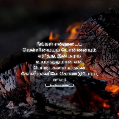 Picture 05 - யோவேல் 3:5 TAMIRV - நீங்கள் என்னுடைய - Bible Verse Picture