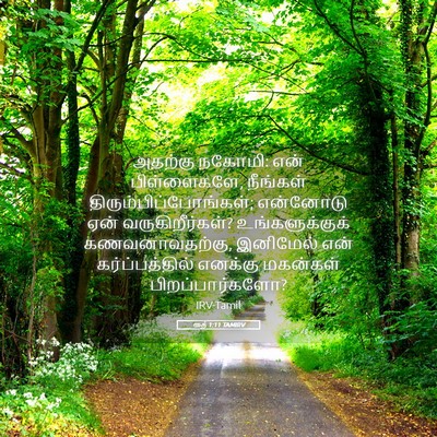 Picture 05 - ரூத் 1:11 TAMIRV - அதற்கு நகோமி: என் - Bible Verse Picture
