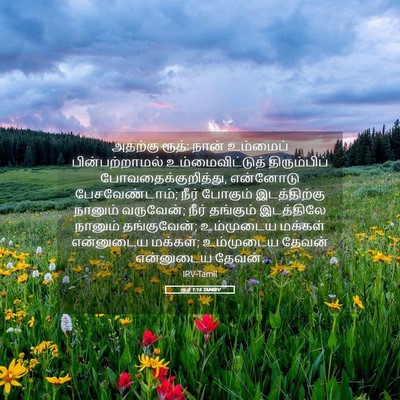 Picture 05 - ரூத் 1:16 TAMIRV - அதற்கு ரூத்: நான் - Bible Verse Picture