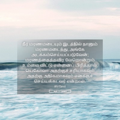 Picture 05 - ரூத் 1:17 TAMIRV - நீர் மரணமடையும் - Bible Verse Picture