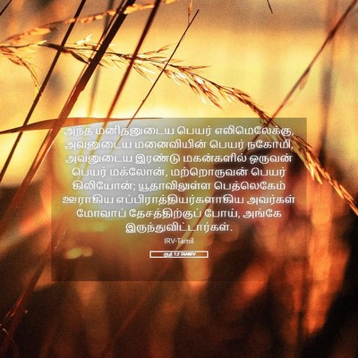 Picture 05 - ரூத் 1:2 TAMIRV - அந்த மனிதனுடைய - Bible Verse Picture