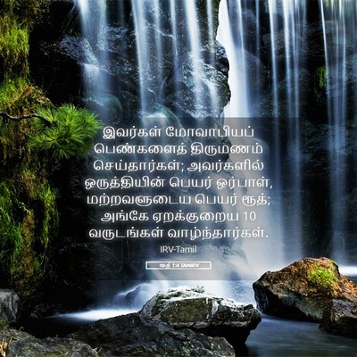 Picture 05 - ரூத் 1:4 TAMIRV - இவர்கள் மோவாபியப் - Bible Verse Picture