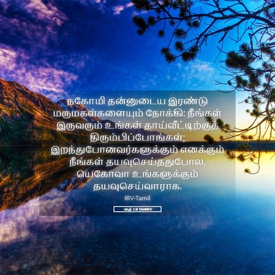 Picture 05 - ரூத் 1:8 TAMIRV - நகோமி தன்னுடைய - Bible Verse Picture