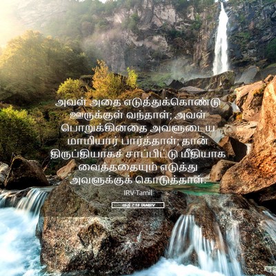 Picture 05 - ரூத் 2:18 TAMIRV - அவள் அதை - Bible Verse Picture