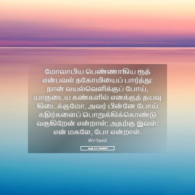 Picture 05 - ரூத் 2:2 TAMIRV - மோவாபிய பெண்ணாகிய - Bible Verse Picture