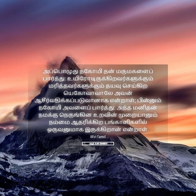 Picture 05 - ரூத் 2:20 TAMIRV - அப்பொழுது நகோமி - Bible Verse Picture