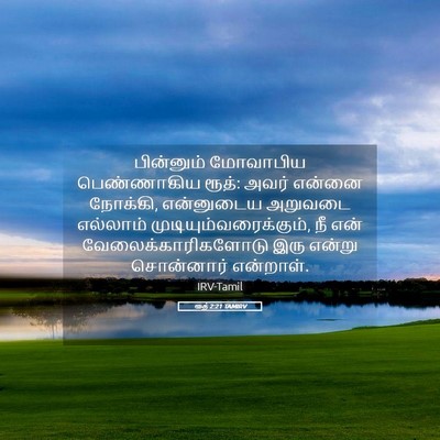 Picture 05 - ரூத் 2:21 TAMIRV - பின்னும் மோவாபிய - Bible Verse Picture