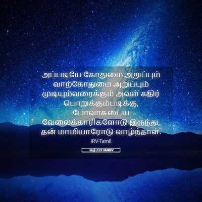 Picture 05 - ரூத் 2:23 TAMIRV - அப்படியே கோதுமை - Bible Verse Picture