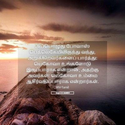 Picture 05 - ரூத் 2:4 TAMIRV - அப்பொழுது போவாஸ் - Bible Verse Picture