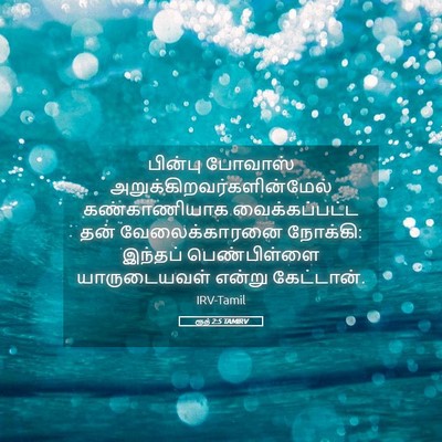 Picture 05 - ரூத் 2:5 TAMIRV - பின்பு போவாஸ் - Bible Verse Picture