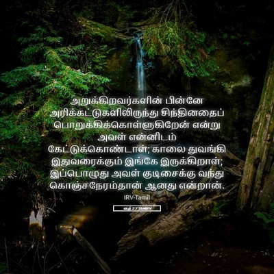 Picture 05 - ரூத் 2:7 TAMIRV - அறுக்கிறவர்களின் - Bible Verse Picture