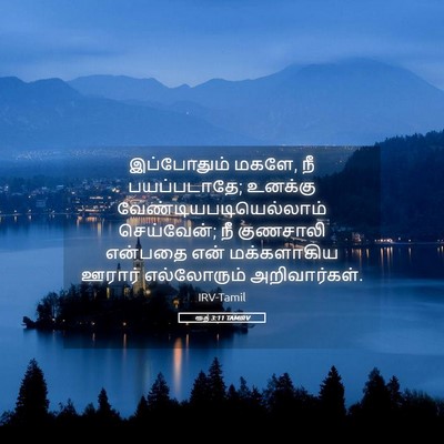 Picture 05 - ரூத் 3:11 TAMIRV - இப்போதும் மகளே, நீ - Bible Verse Picture