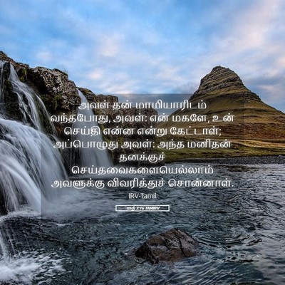 Picture 05 - ரூத் 3:16 TAMIRV - அவள் தன் - Bible Verse Picture