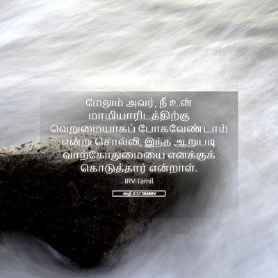 Picture 05 - ரூத் 3:17 TAMIRV - மேலும் அவர், நீ உன் - Bible Verse Picture