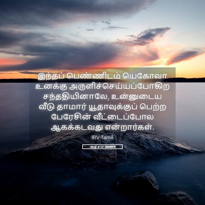 Picture 05 - ரூத் 4:12 TAMIRV - இந்தப் பெண்ணிடம் - Bible Verse Picture