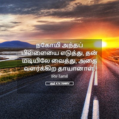 Picture 05 - ரூத் 4:16 TAMIRV - நகோமி அந்தப் - Bible Verse Picture