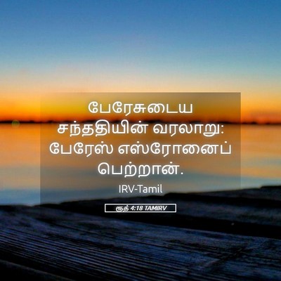 Picture 05 - ரூத் 4:18 TAMIRV - பேரேசுடைய - Bible Verse Picture