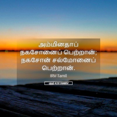 Picture 05 - ரூத் 4:20 TAMIRV - அம்மினதாப் - Bible Verse Picture