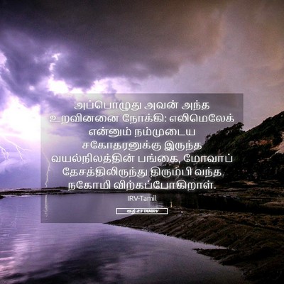 Picture 05 - ரூத் 4:3 TAMIRV - அப்பொழுது அவன் - Bible Verse Picture