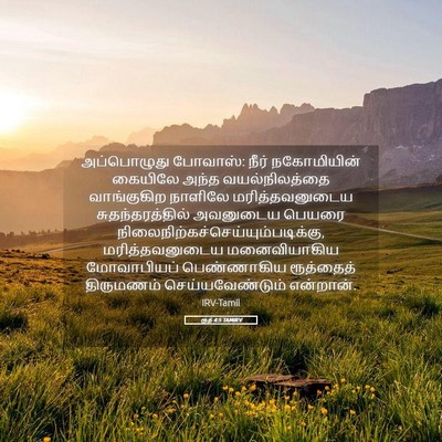 Picture 05 - ரூத் 4:5 TAMIRV - அப்பொழுது போவாஸ்: - Bible Verse Picture