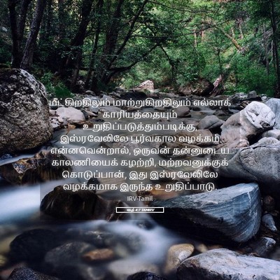 Picture 05 - ரூத் 4:7 TAMIRV - மீட்கிறதிலும் - Bible Verse Picture