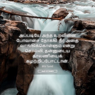 Picture 05 - ரூத் 4:8 TAMIRV - அப்படியே அந்த - Bible Verse Picture