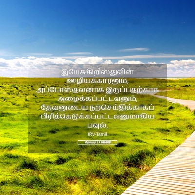 Picture 05 - ரோமர் 1:1 TAMIRV -  - Bible Verse Picture