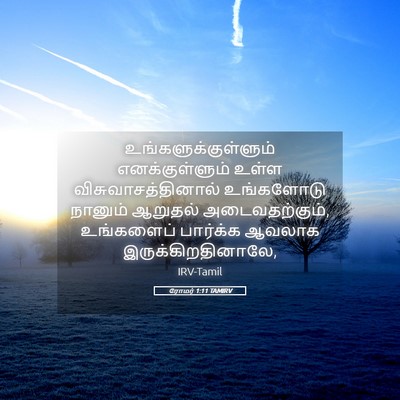 Picture 05 - ரோமர் 1:11 TAMIRV - உங்களுக்குள்ளும் - Bible Verse Picture