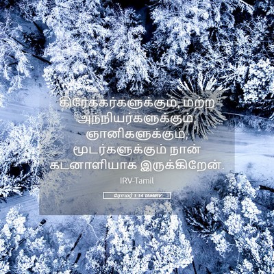 Picture 05 - ரோமர் 1:14 TAMIRV -  - Bible Verse Picture