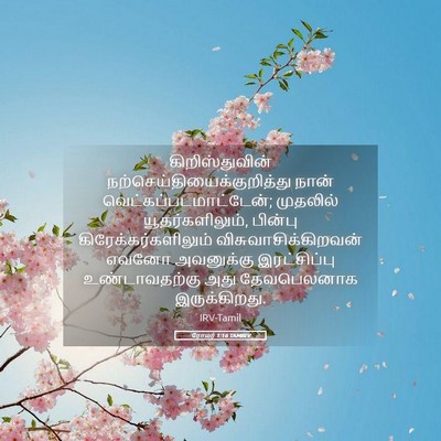 Picture 05 - ரோமர் 1:16 TAMIRV - கிறிஸ்துவின் - Bible Verse Picture