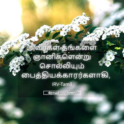 Picture 05 - ரோமர் 1:22 TAMIRV - அவர்கள் தங்களை - Bible Verse Picture
