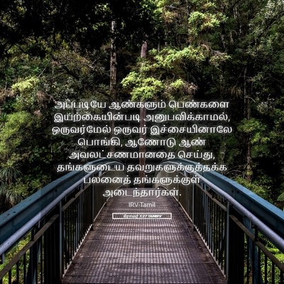Picture 05 - ரோமர் 1:27 TAMIRV - அப்படியே ஆண்களும் - Bible Verse Picture