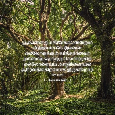 Picture 05 - ரோமர் 10:12 TAMIRV - யூதனென்றும் - Bible Verse Picture