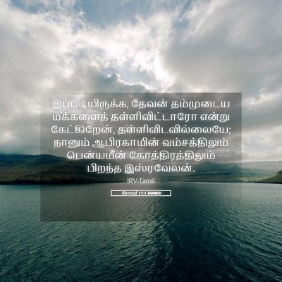 Picture 05 - ரோமர் 11:1 TAMIRV - இப்படியிருக்க, - Bible Verse Picture