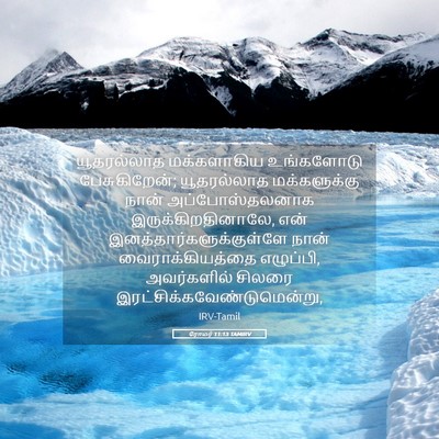 Picture 05 - ரோமர் 11:13 TAMIRV - யூதரல்லாத - Bible Verse Picture