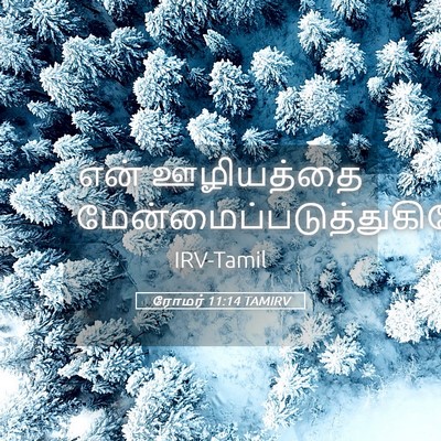 Picture 05 - ரோமர் 11:14 TAMIRV - என் ஊழியத்தை - Bible Verse Picture