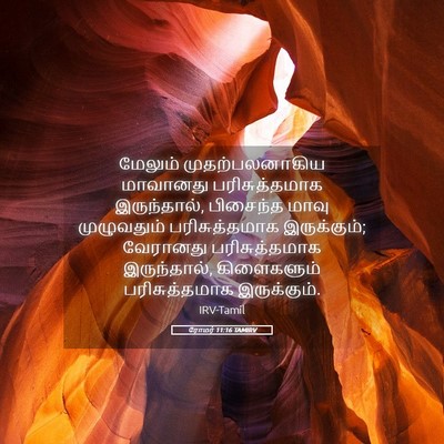 Picture 05 - ரோமர் 11:16 TAMIRV - மேலும் - Bible Verse Picture
